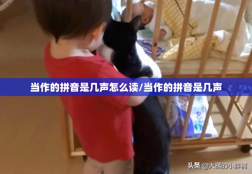 当作的拼音是几声怎么读/当作的拼音是几声