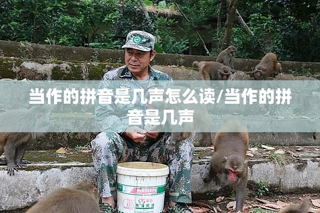 当作的拼音是几声怎么读/当作的拼音是几声