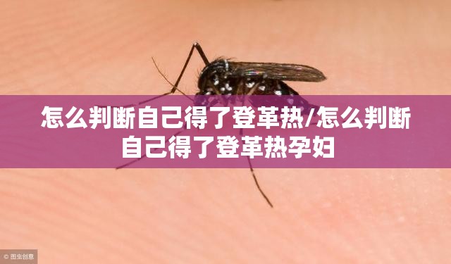 怎么判断自己得了登革热/怎么判断自己得了登革热孕妇
