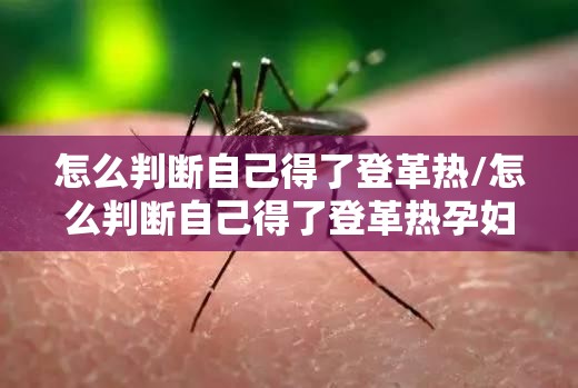 怎么判断自己得了登革热/怎么判断自己得了登革热孕妇