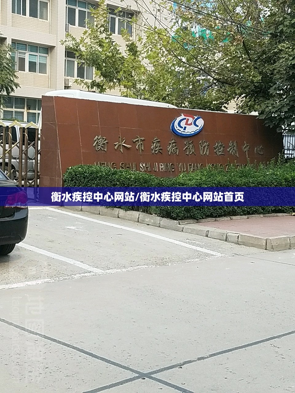 衡水疾控中心网站/衡水疾控中心网站首页