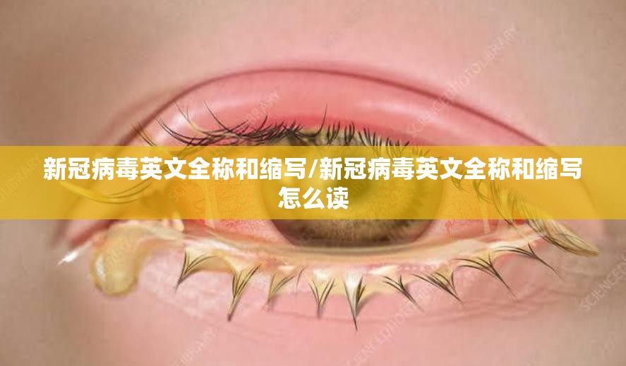 新冠病毒英文全称和缩写/新冠病毒英文全称和缩写怎么读