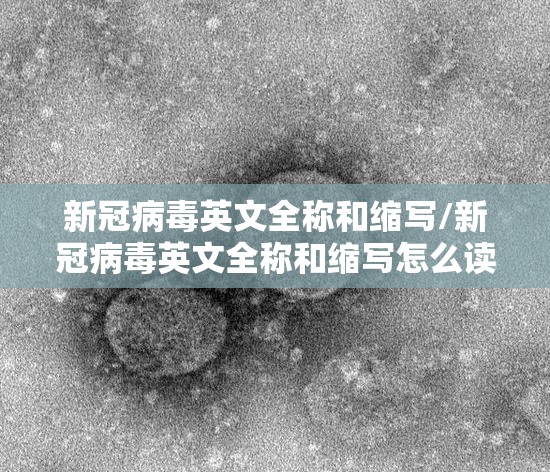 新冠病毒英文全称和缩写/新冠病毒英文全称和缩写怎么读