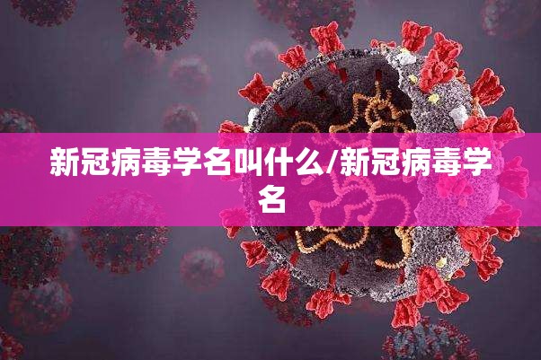 新冠病毒学名叫什么/新冠病毒学名