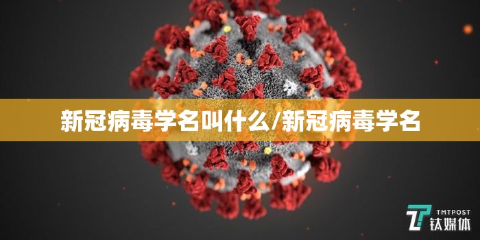 新冠病毒学名叫什么/新冠病毒学名