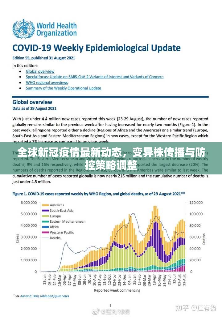 全球新冠疫情最新动态，变异株传播与防控策略调整