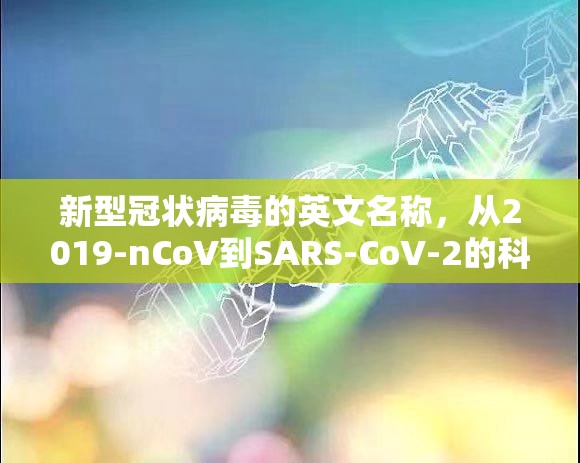 新型冠状病毒的英文名称，从2019-nCoV到SARS-CoV-2的科学命名之路