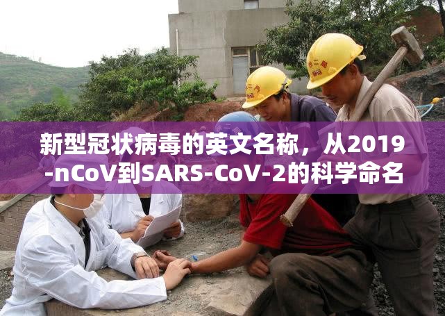新型冠状病毒的英文名称，从2019-nCoV到SARS-CoV-2的科学命名之路