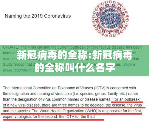 新冠病毒的全称:新冠病毒的全称叫什么名字