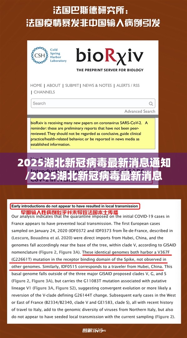 2025湖北新冠病毒最新消息通知/2025湖北新冠病毒最新消息