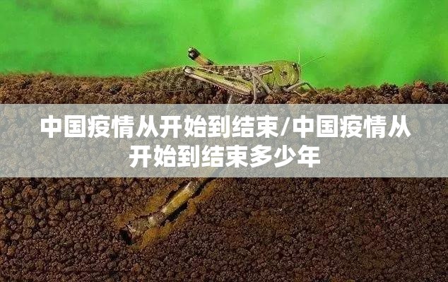 中国疫情从开始到结束/中国疫情从开始到结束多少年