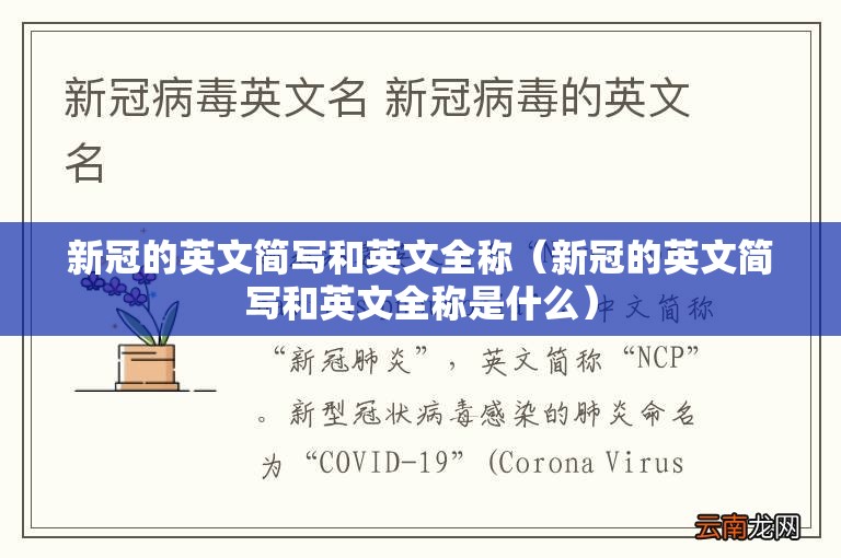 新冠的英文简写和英文全称（新冠的英文简写和英文全称是什么）