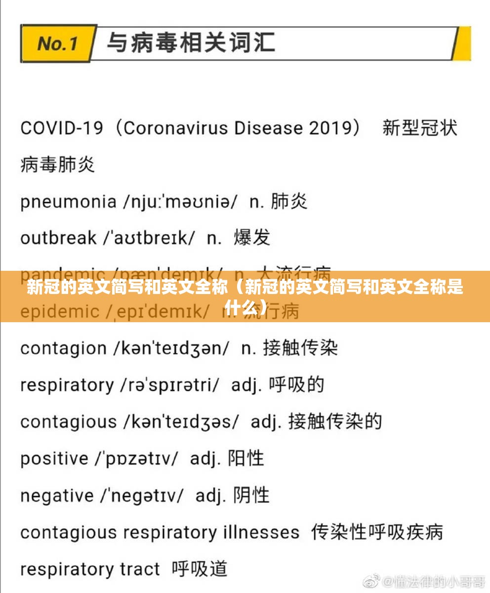 新冠的英文简写和英文全称（新冠的英文简写和英文全称是什么）