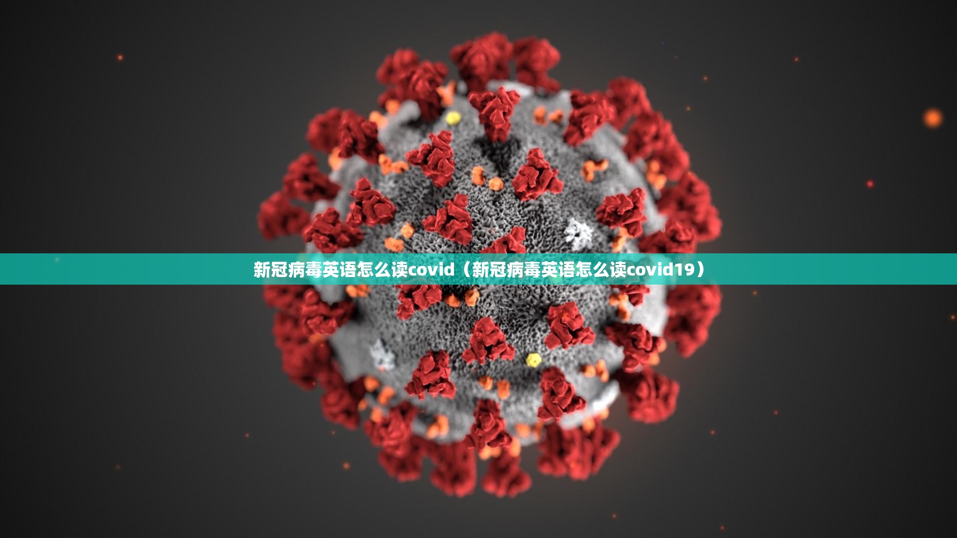 新冠病毒英语怎么读covid（新冠病毒英语怎么读covid19）