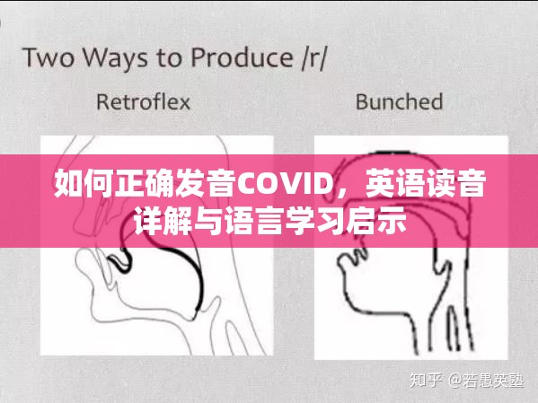 如何正确发音COVID，英语读音详解与语言学习启示