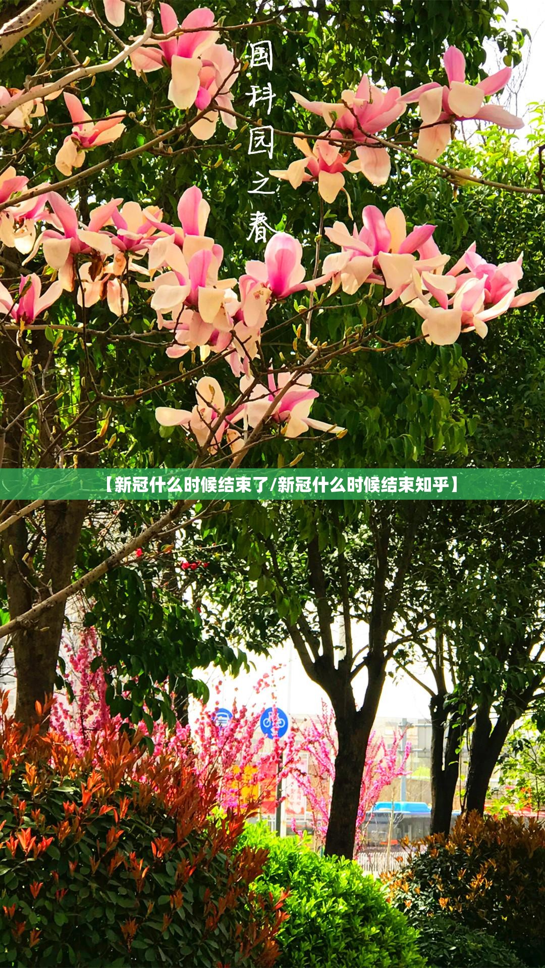 【新冠什么时候结束了/新冠什么时候结束知乎】
