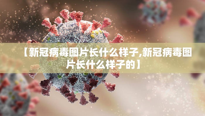 【新冠病毒图片长什么样子,新冠病毒图片长什么样子的】
