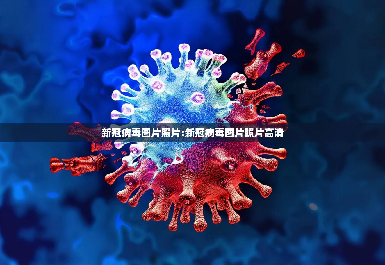 新冠病毒图片照片:新冠病毒图片照片高清