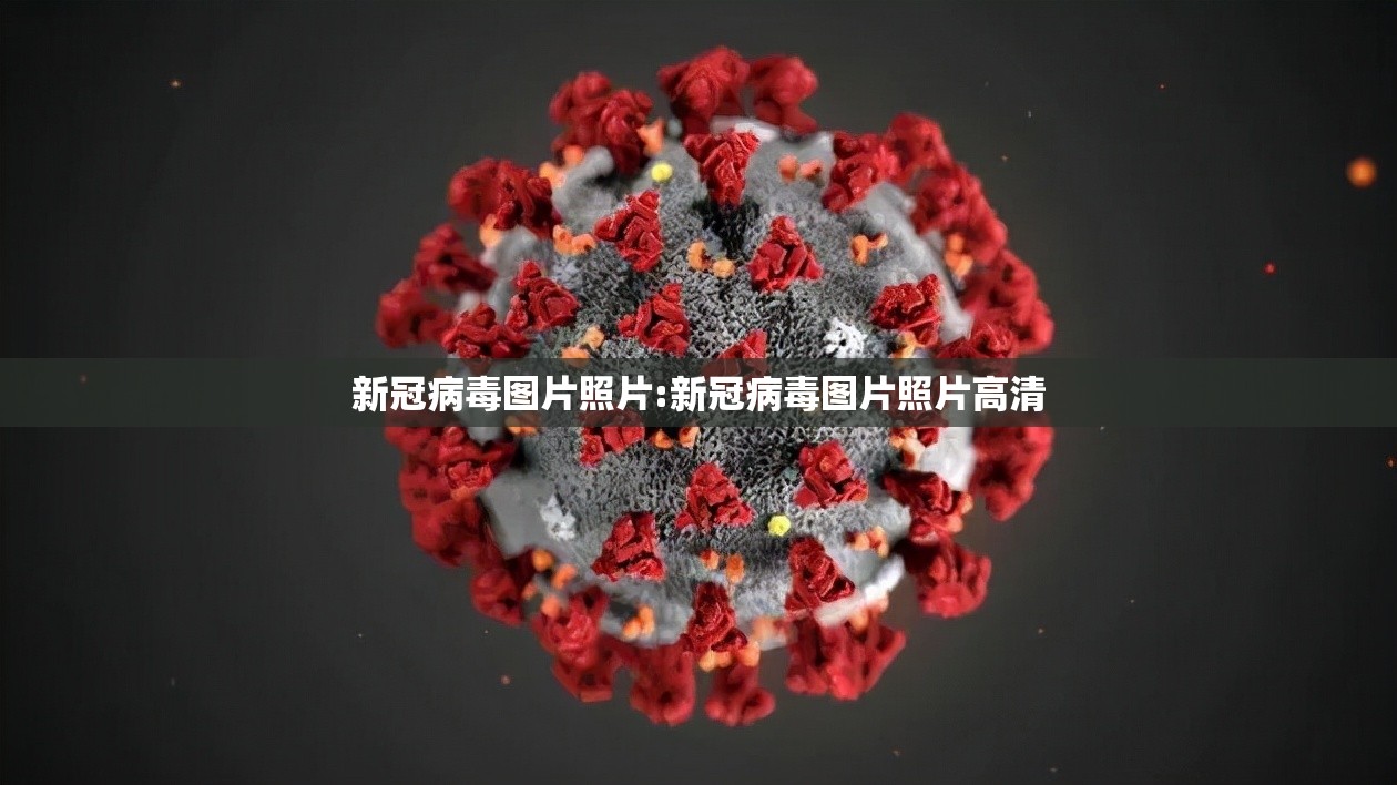 新冠病毒图片照片:新冠病毒图片照片高清