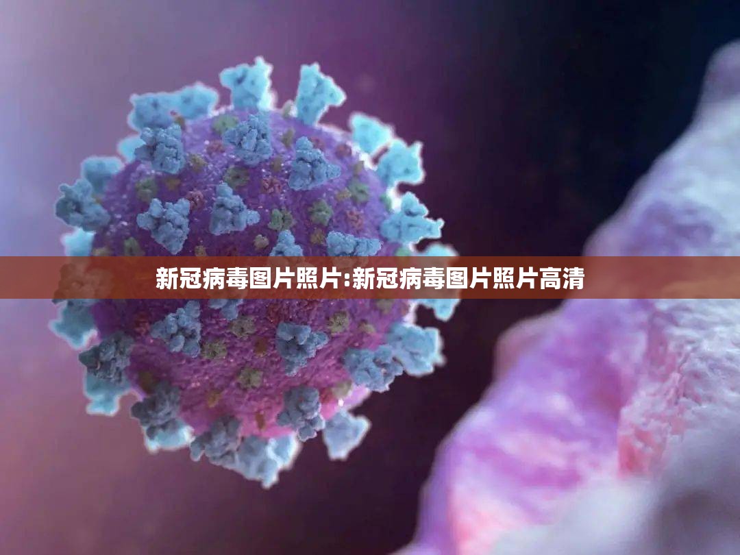 新冠病毒图片照片:新冠病毒图片照片高清