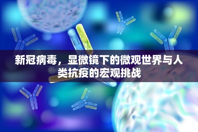 新冠病毒，显微镜下的微观世界与人类抗疫的宏观挑战