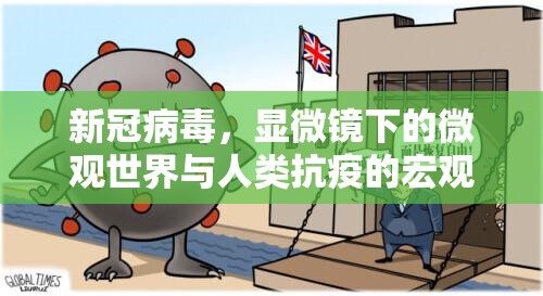新冠病毒，显微镜下的微观世界与人类抗疫的宏观挑战
