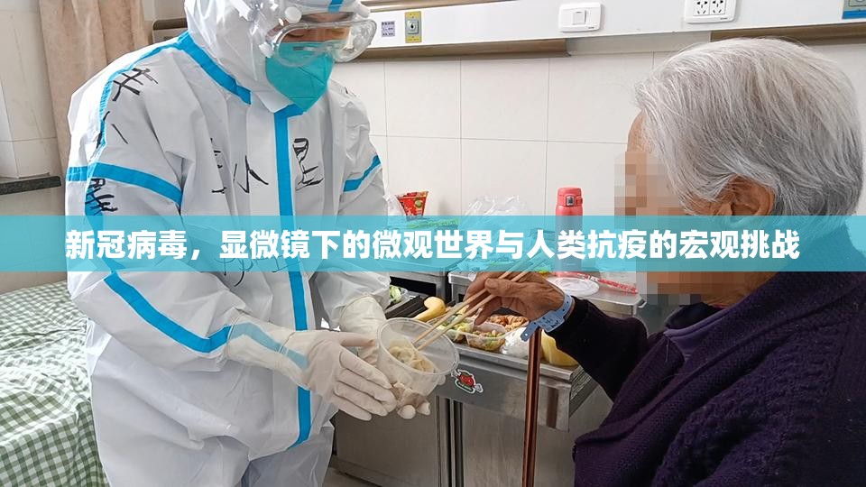 新冠病毒，显微镜下的微观世界与人类抗疫的宏观挑战