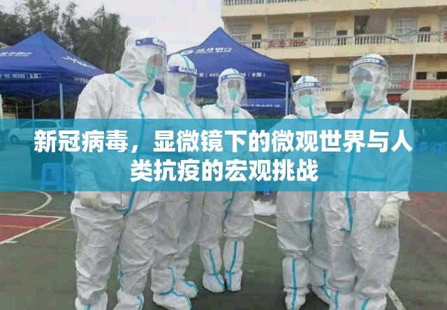 新冠病毒，显微镜下的微观世界与人类抗疫的宏观挑战