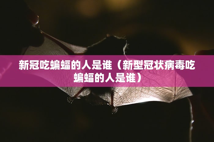 新冠吃蝙蝠的人是谁（新型冠状病毒吃蝙蝠的人是谁）