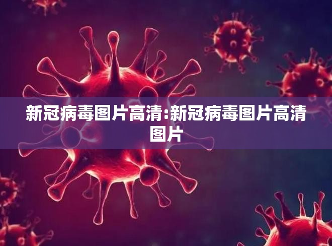新冠病毒图片高清:新冠病毒图片高清图片