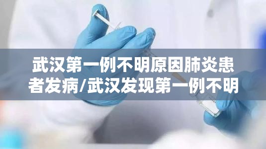 武汉第一例不明原因肺炎患者发病/武汉发现第一例不明肺炎患者时间为