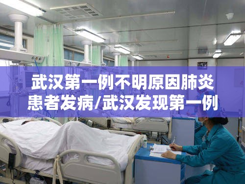 武汉第一例不明原因肺炎患者发病/武汉发现第一例不明肺炎患者时间为