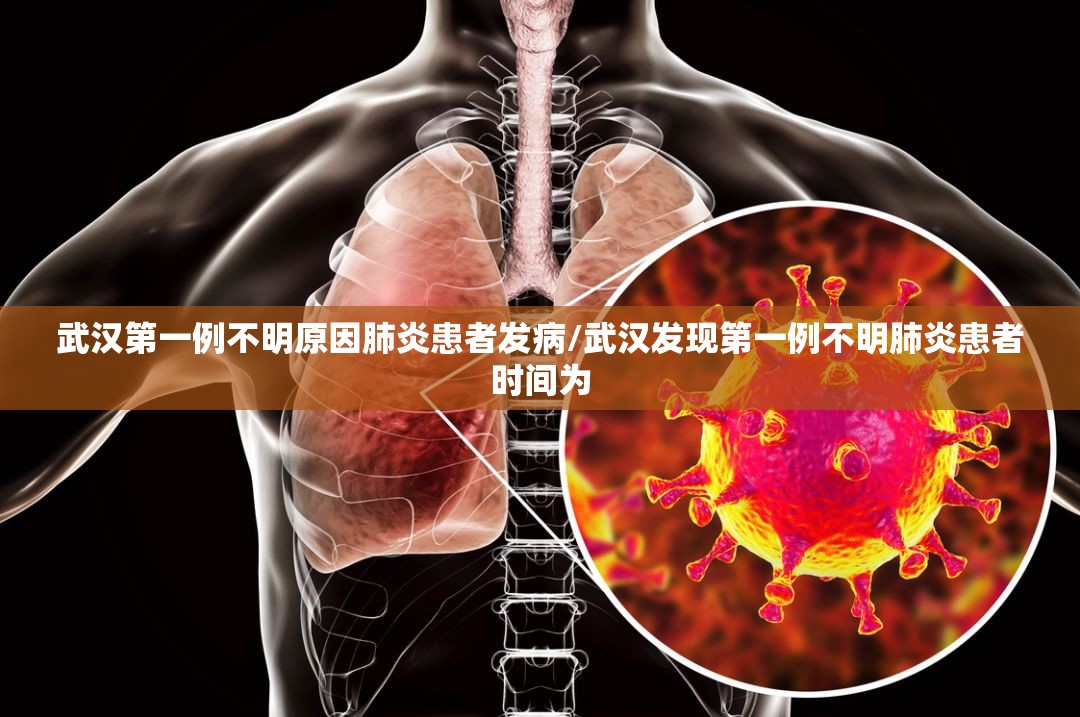 武汉第一例不明原因肺炎患者发病/武汉发现第一例不明肺炎患者时间为