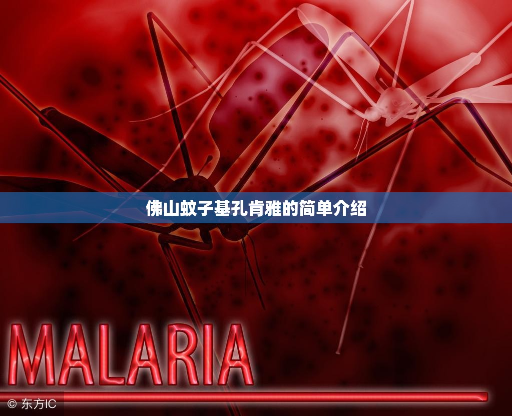 佛山蚊子基孔肯雅的简单介绍