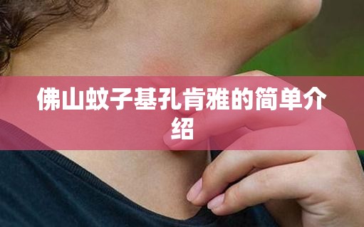 佛山蚊子基孔肯雅的简单介绍