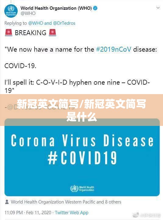 新冠英文简写/新冠英文简写是什么