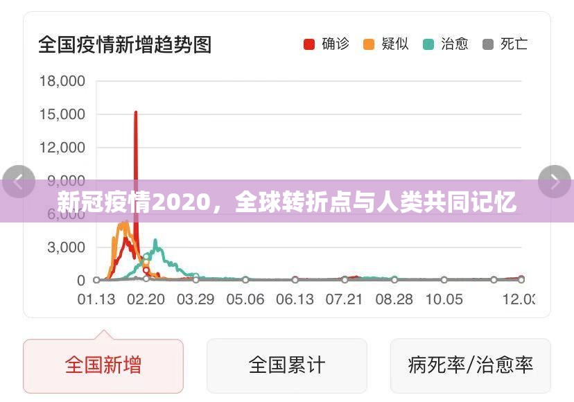 新冠疫情2020，全球转折点与人类共同记忆