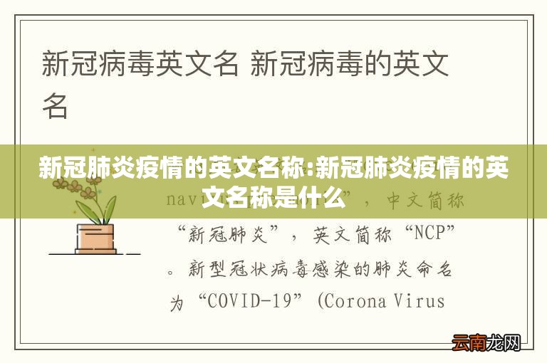 新冠肺炎疫情的英文名称:新冠肺炎疫情的英文名称是什么