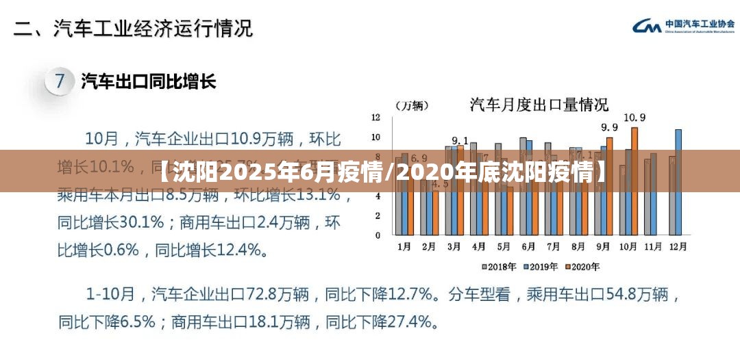 【沈阳2025年6月疫情/2020年底沈阳疫情】