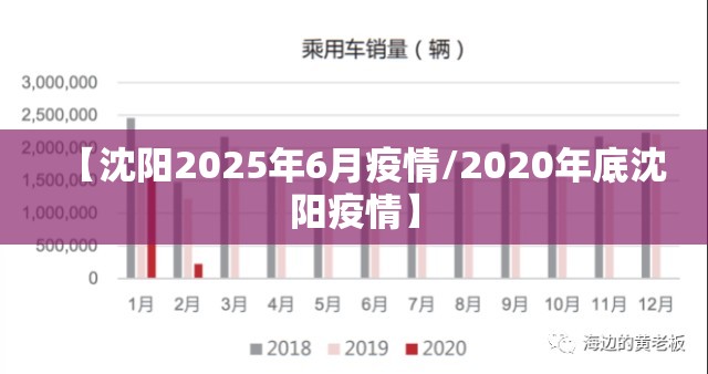 【沈阳2025年6月疫情/2020年底沈阳疫情】