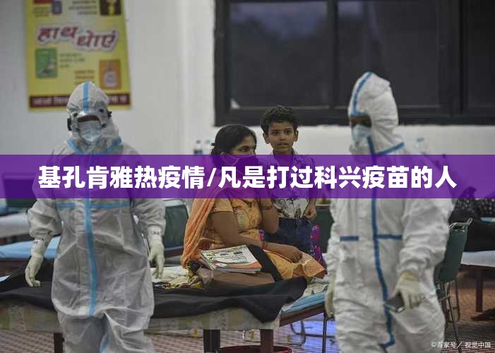 基孔肯雅热疫情/凡是打过科兴疫苗的人
