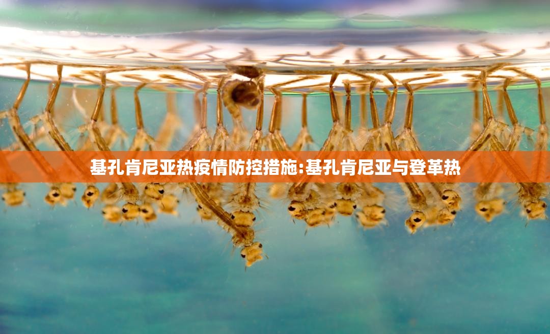 基孔肯尼亚热疫情防控措施:基孔肯尼亚与登革热