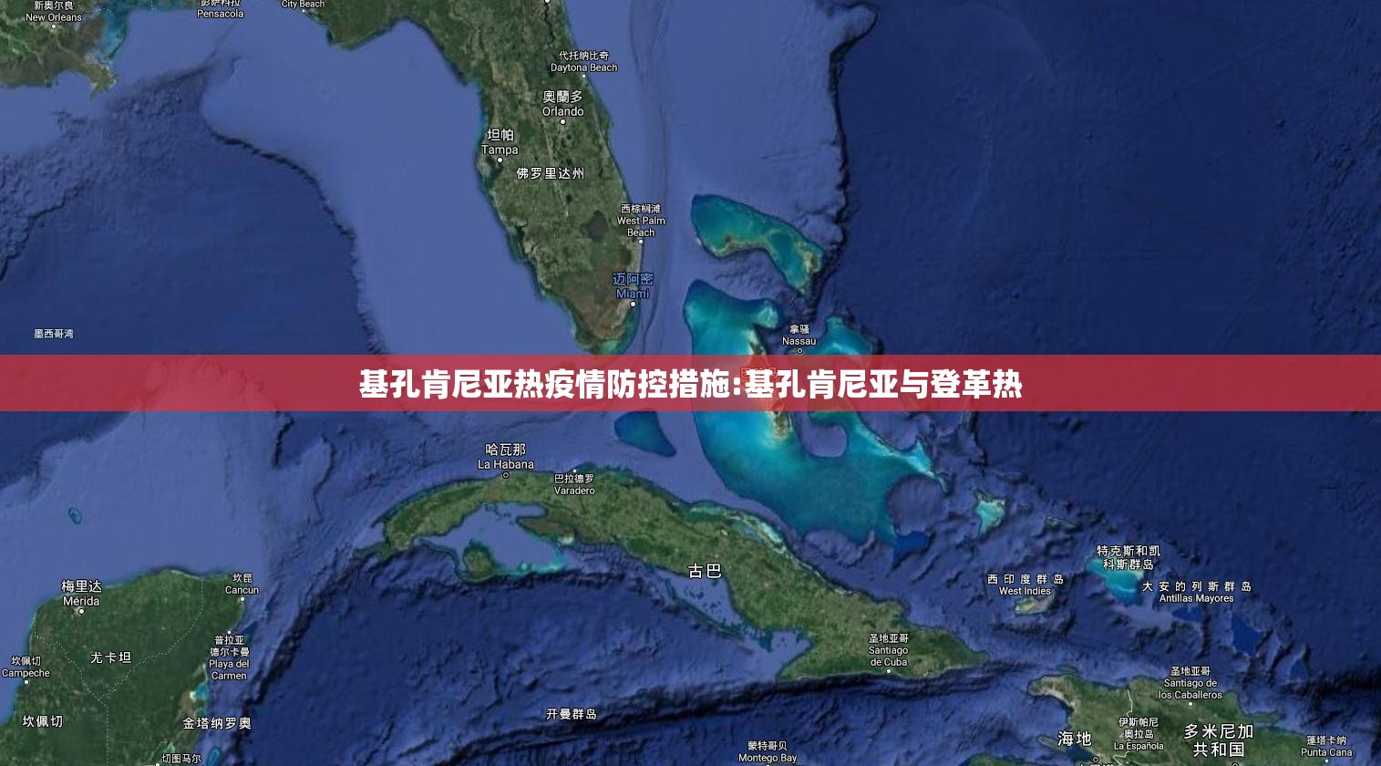 基孔肯尼亚热疫情防控措施:基孔肯尼亚与登革热