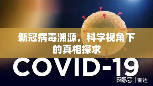 新冠病毒溯源，科学视角下的真相探求