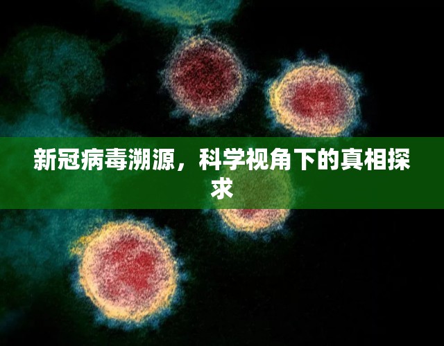 新冠病毒溯源，科学视角下的真相探求