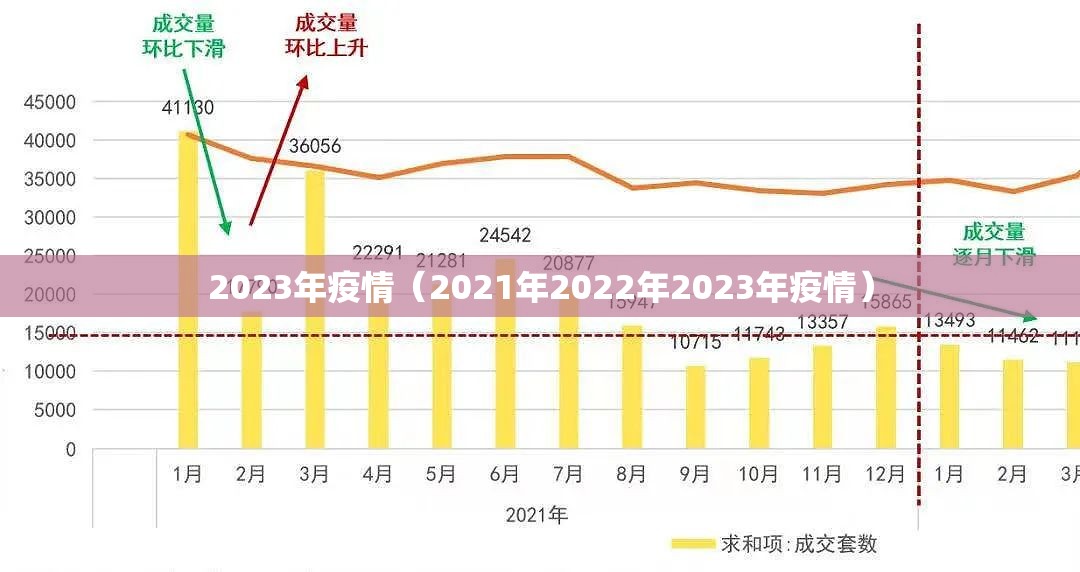 2023年疫情（2021年2022年2023年疫情）