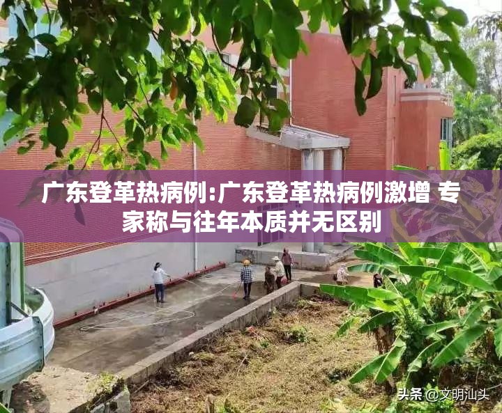 广东登革热病例:广东登革热病例激增 专家称与往年本质并无区别