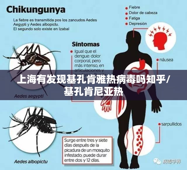 上海有发现基孔肯雅热病毒吗知乎/基孔肯尼亚热