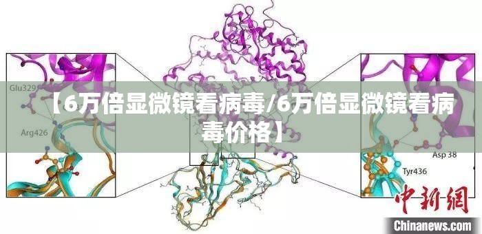 【6万倍显微镜看病毒/6万倍显微镜看病毒价格】
