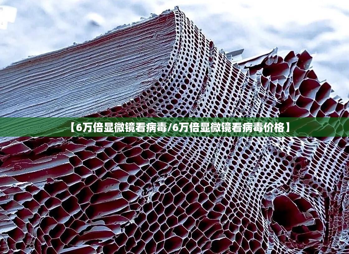 【6万倍显微镜看病毒/6万倍显微镜看病毒价格】